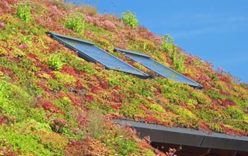 Great Waldingfield living roof systems